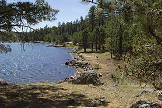 High Country Woods and Lake of Arizona