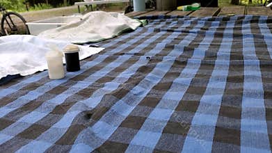 Swarm of black flies at picnic table