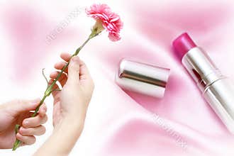 Pink carnation with cosmetic