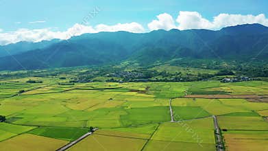 Aerial view of  rice fields for cultivation and village