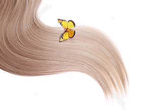 Yellow butterfly on blonde hair isolated on white
