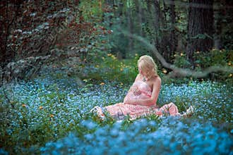 Fairy