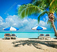 Vacation and Tourism