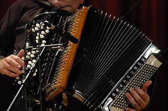Accordion