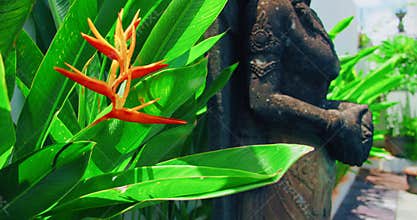 Balinese traditional woman sculpture. Female figure in greenery and colorful orange flowers. Local culture, religion