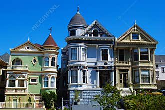 San Francisco Painted Ladies