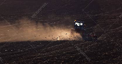 Spring tillage of agricultural field, tractor cultivate the ground after ploughing and beautiful flying and feeding birds
