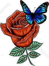 vector illustration of butterfly on red rose on white background