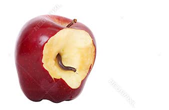 Worm in apple