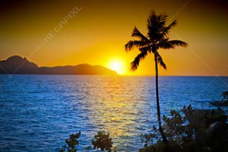 Ocean Palm Tree Tropical Sunset Sky