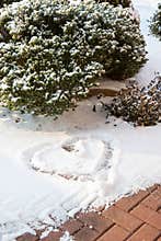 Snow heart and bush