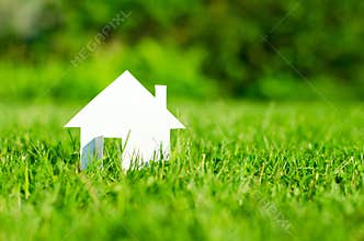 House in green field