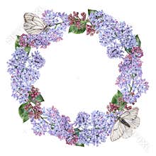 A wreath of purple lilac with butterflies perched on flowers. Watercolor botanical illustration. Hand drawn clipart