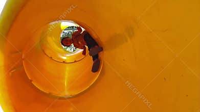 Little girl going down from the yellow slide at the playground, low angle view.