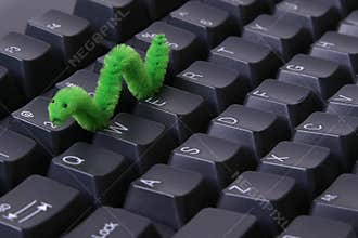 Computer worm