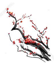 Sakura, cherry blossom plum chinese brush painting