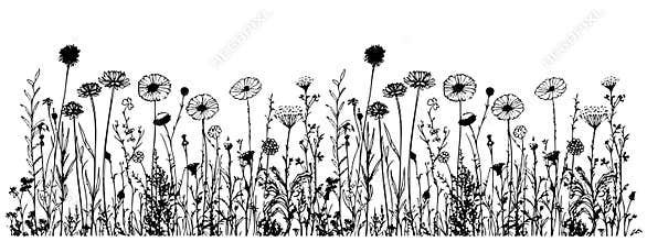 Meadow wildflowers border hand drawn sketch in doodle style Vector illustration