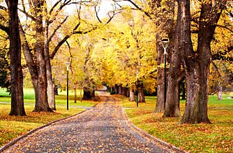Fall Colors