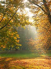 Sunlight break-through