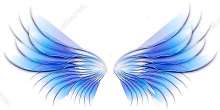 Angel Bird or Fairy Wings Blue