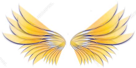 Angel Bird or Fairy Wings 3