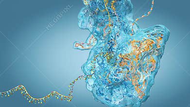 Ribosome as part of an biological cell constructing messenger rna molecule