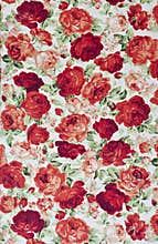 Rose on fabric as background