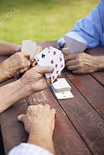 Active seniors, group of old friends playing cards at park