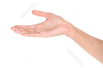 Open palm hand