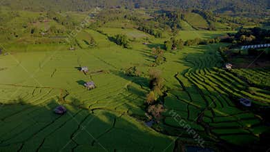 Terraced Rice Field in Chiangmai, Thailand