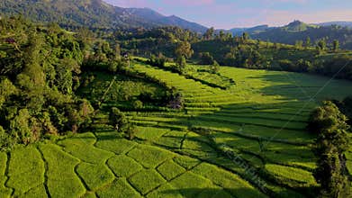 Terraced Rice Field in Chiangmai, Thailand