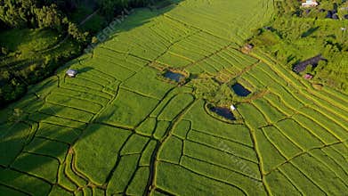 Terraced Rice Field in Chiangmai, Thailand