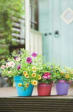 Summer garden shed and flower pots