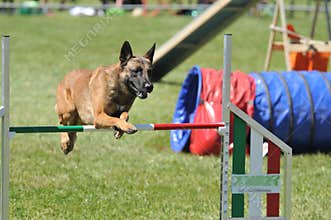 Agility