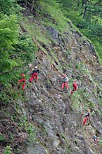 Red climbers