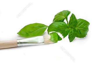 Painted basil