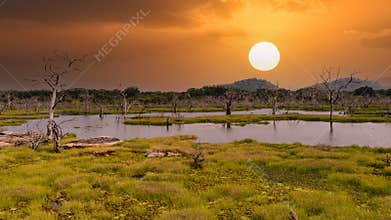 Yala National Park, the most famous park in Sri Lanka,
