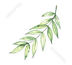 Bright, colorful autumn leaf. Watercolor fall illustration