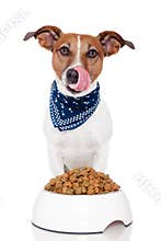 Dog with bowl