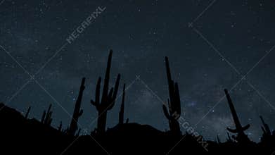 Saguaro National Park, Arizona, USA, Stars Timelapse at Night