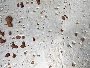 Background of grease and ground meat