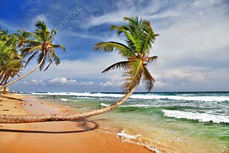 Sri lanka' beach