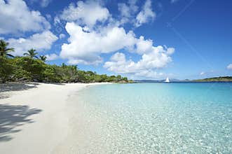 Paradise Caribbean Beach Virgin Islands Horizontal
