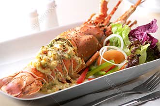 Lobster