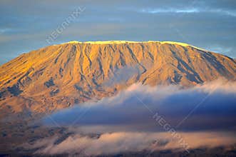 Top of kilimanjaro mountain in the sunrise