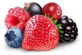 Collection of wild berries