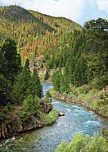 Salmon River, Idaho