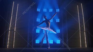 Young classical ballet dancer dancing in background of smoke and spotlights with soft blue light. Silhouette of