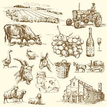 Farm collection