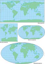 Vector world contour map in four projections